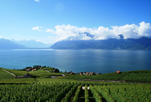 lavaux